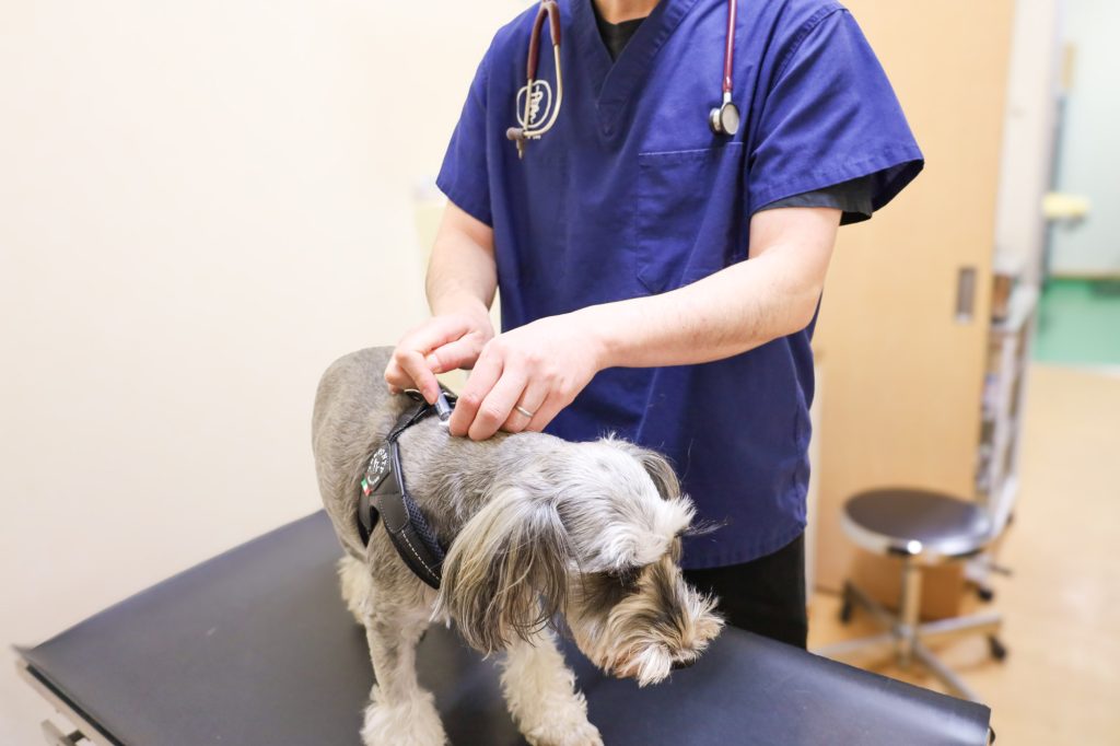 予防接種・予防診療