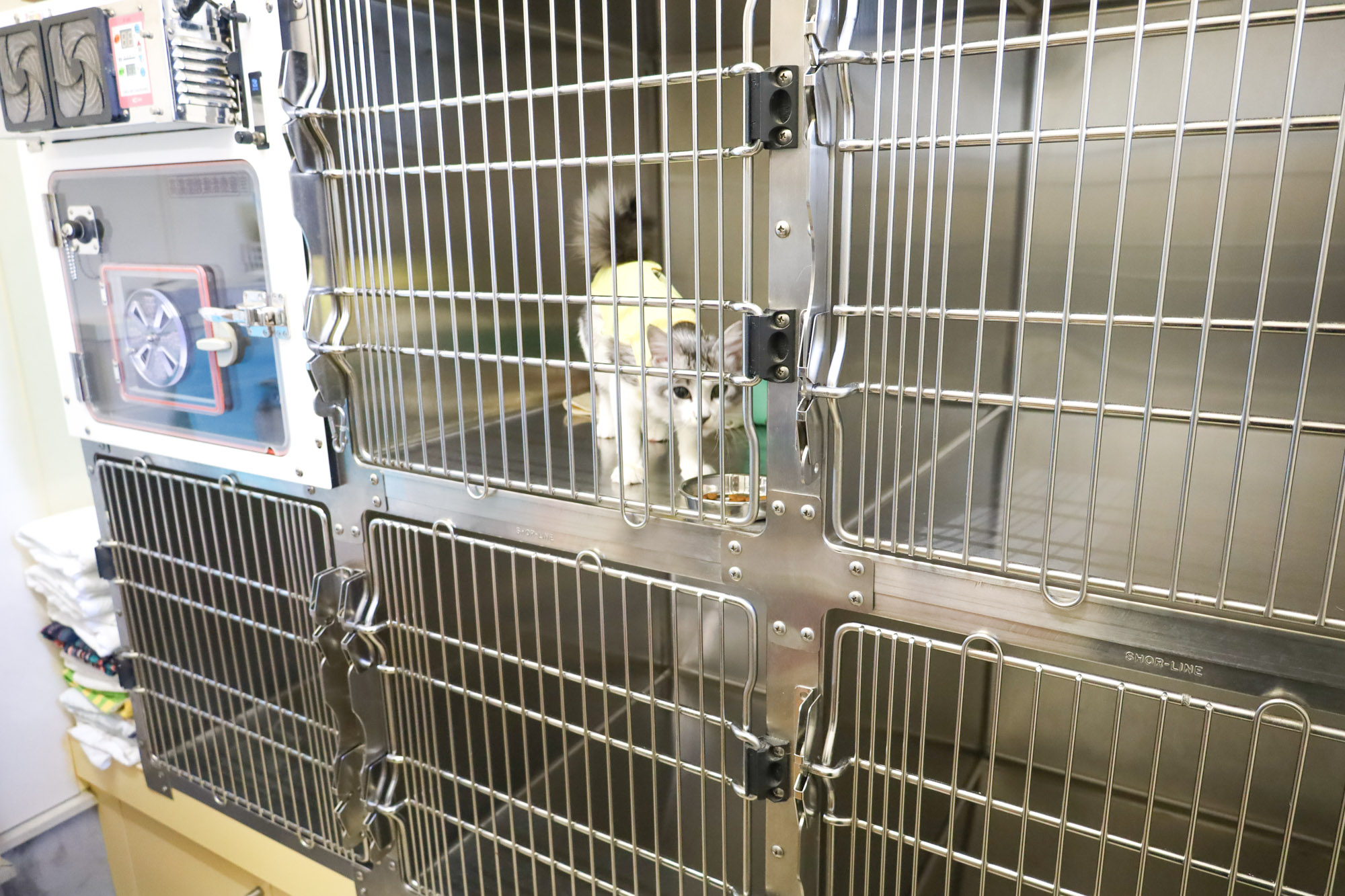 猫用入院部屋