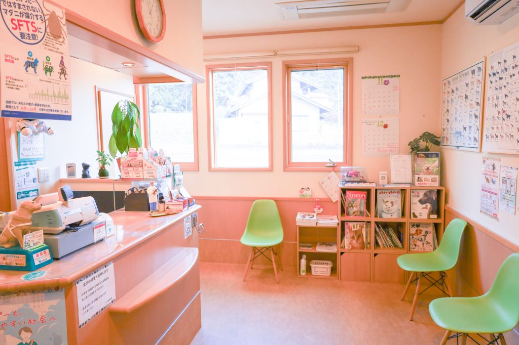 動物のことを一番に考えた、こだわり満載の院内