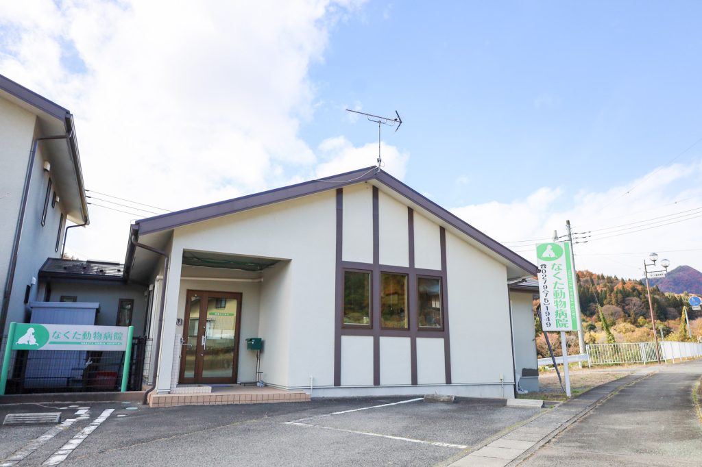 35年以上、地域に密着して診療を行っています